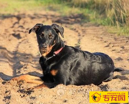 undefined{{pos:,w:,h:}}