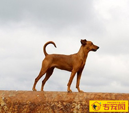 undefined{{pos:,w:,h:}}