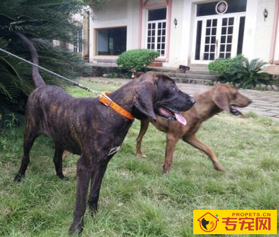 undefined{{pos:,w:,h:}}