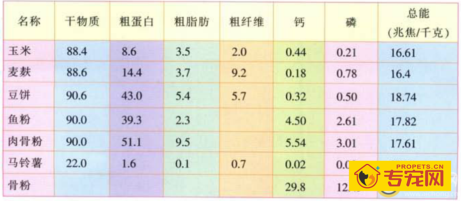 详解给藏獒配置饲料的方法