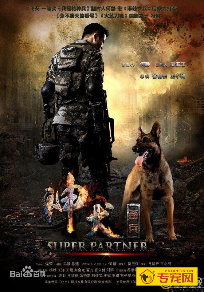 关于德牧的电视剧：《神犬奇兵》