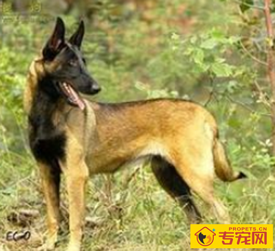 undefined{{pos:,w:,h:}}