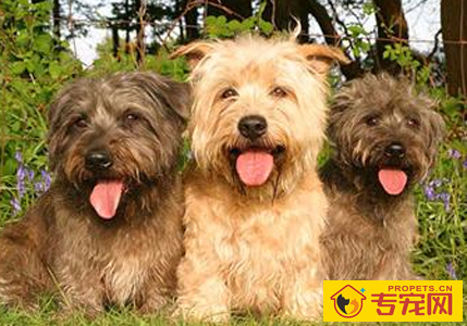 undefined{{pos:,w:,h:}}