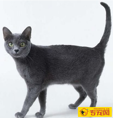 undefined{{pos:,w:,h:}}