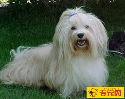 undefined{{pos:,w:,h:}}