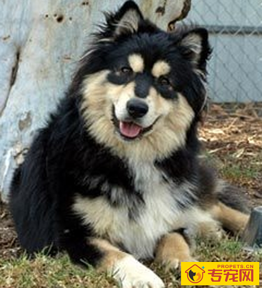 undefined{{pos:,w:,h:}}