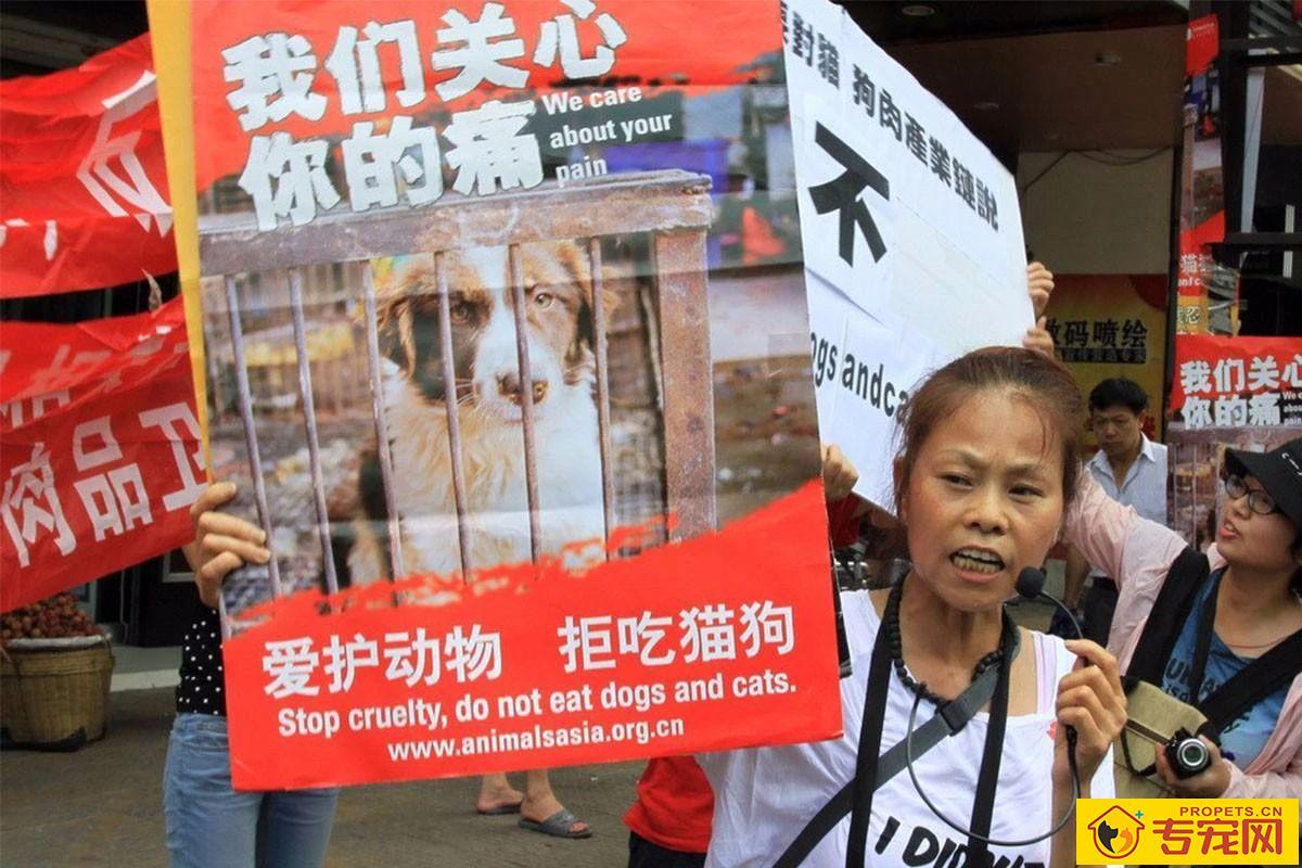 深圳成为大陆第一个立法禁食猫狗的城市!自2020年5月1日起施行。