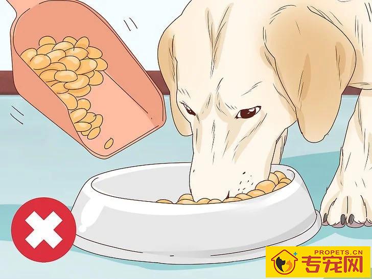 宠主该如何判断狗狗是否怀孕？