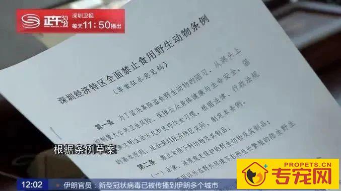 深圳成为大陆第一个立法禁食猫狗的城市!自2020年5月1日起施行。