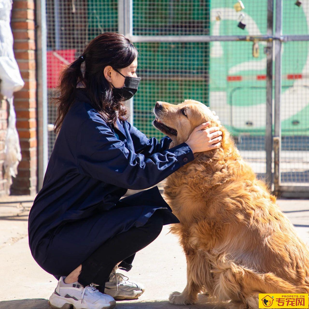 深圳成为大陆第一个立法禁食猫狗的城市!自2020年5月1日起施行。