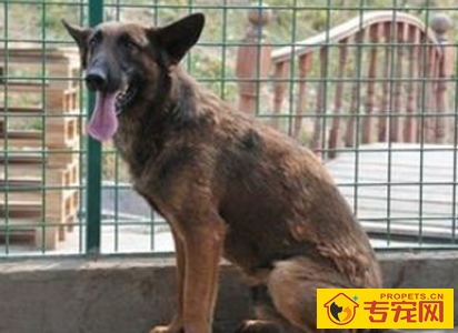 undefined{{pos:,w:,h:}}