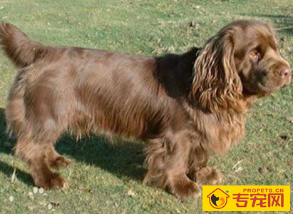 undefined{{pos:,w:,h:}}