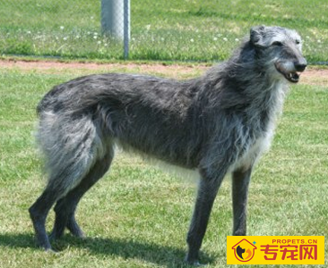 undefined{{pos:,w:,h:}}