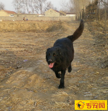 undefined{{pos:,w:,h:}}