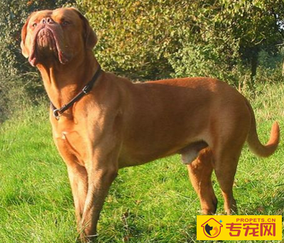 undefined{{pos:,w:,h:}}