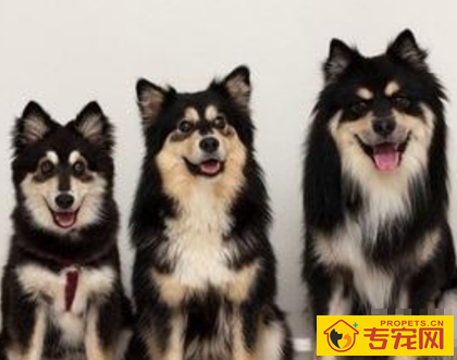 undefined{{pos:,w:,h:}}