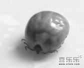 金毛犬常见皮肤病诊治