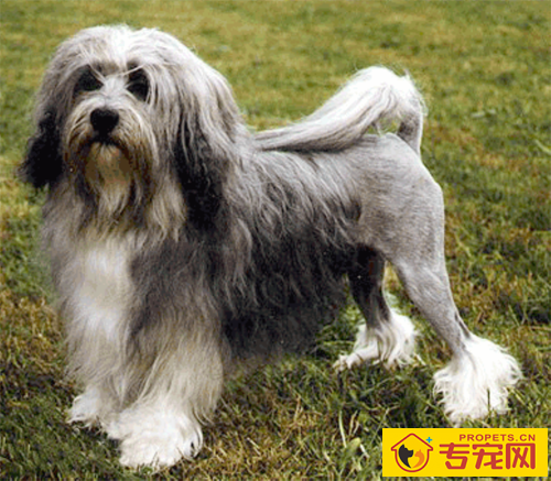 undefined{{pos:,w:,h:}}