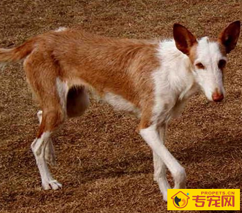 undefined{{pos:,w:,h:}}