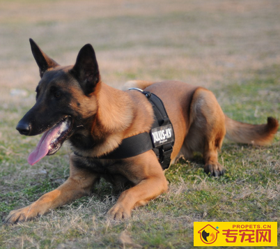 undefined{{pos:,w:,h:}}