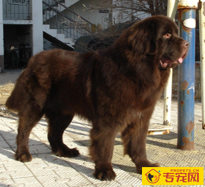 undefined{{pos:,w:,h:}}