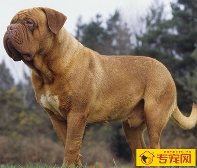 undefined{{pos:,w:,h:}}