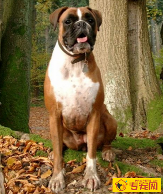 undefined{{pos:,w:,h:}}