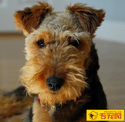 undefined{{pos:,w:,h:}}