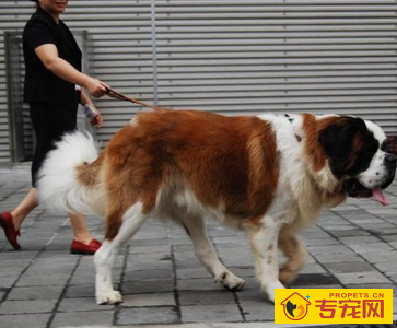 undefined{{pos:,w:,h:}}