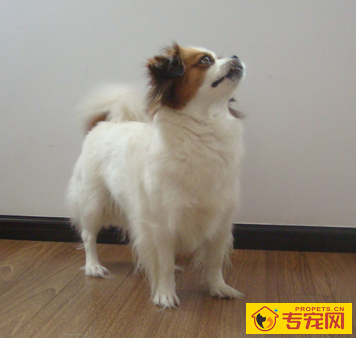 undefined{{pos:,w:,h:}}