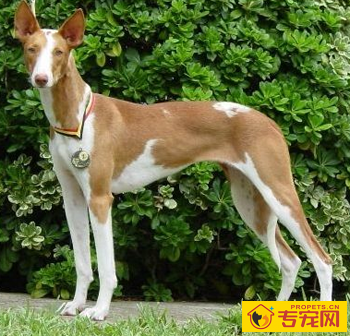 undefined{{pos:,w:,h:}}