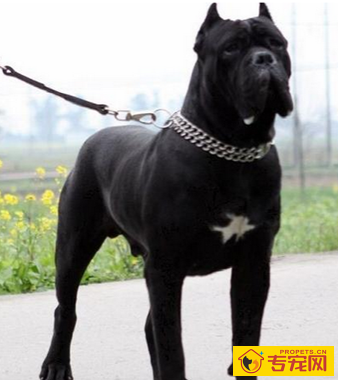 undefined{{pos:,w:,h:}}