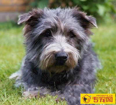 undefined{{pos:,w:,h:}}