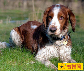 undefined{{pos:,w:,h:}}