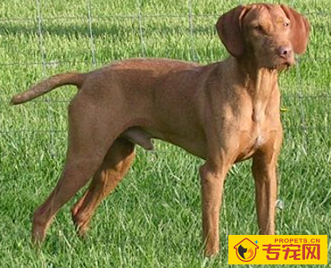 undefined{{pos:,w:,h:}}