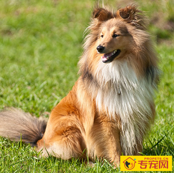 undefined{{pos:,w:,h:}}