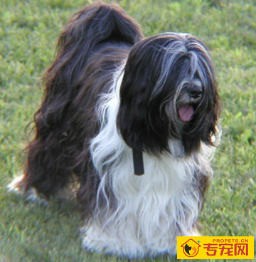 undefined{{pos:,w:,h:}}