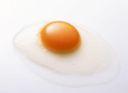 金毛吃蛋黄有什么好处