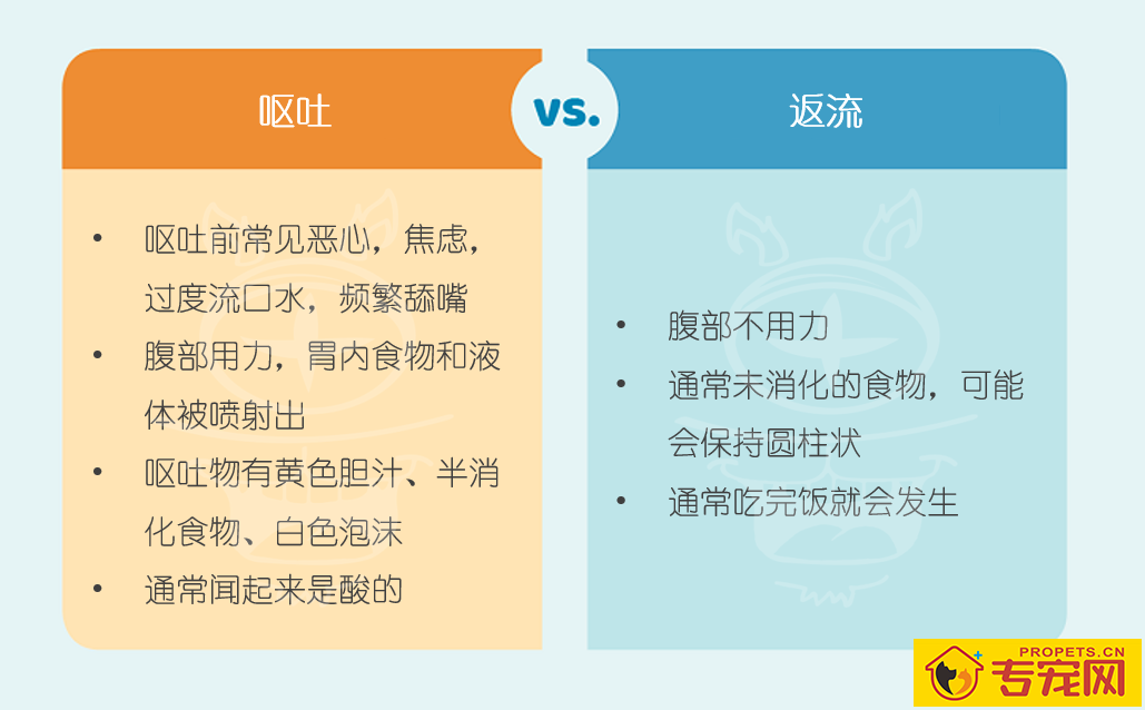 这一份权威狗狗呕吐指南请你收下