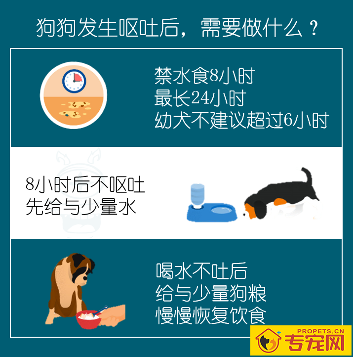 这一份权威狗狗呕吐指南请你收下