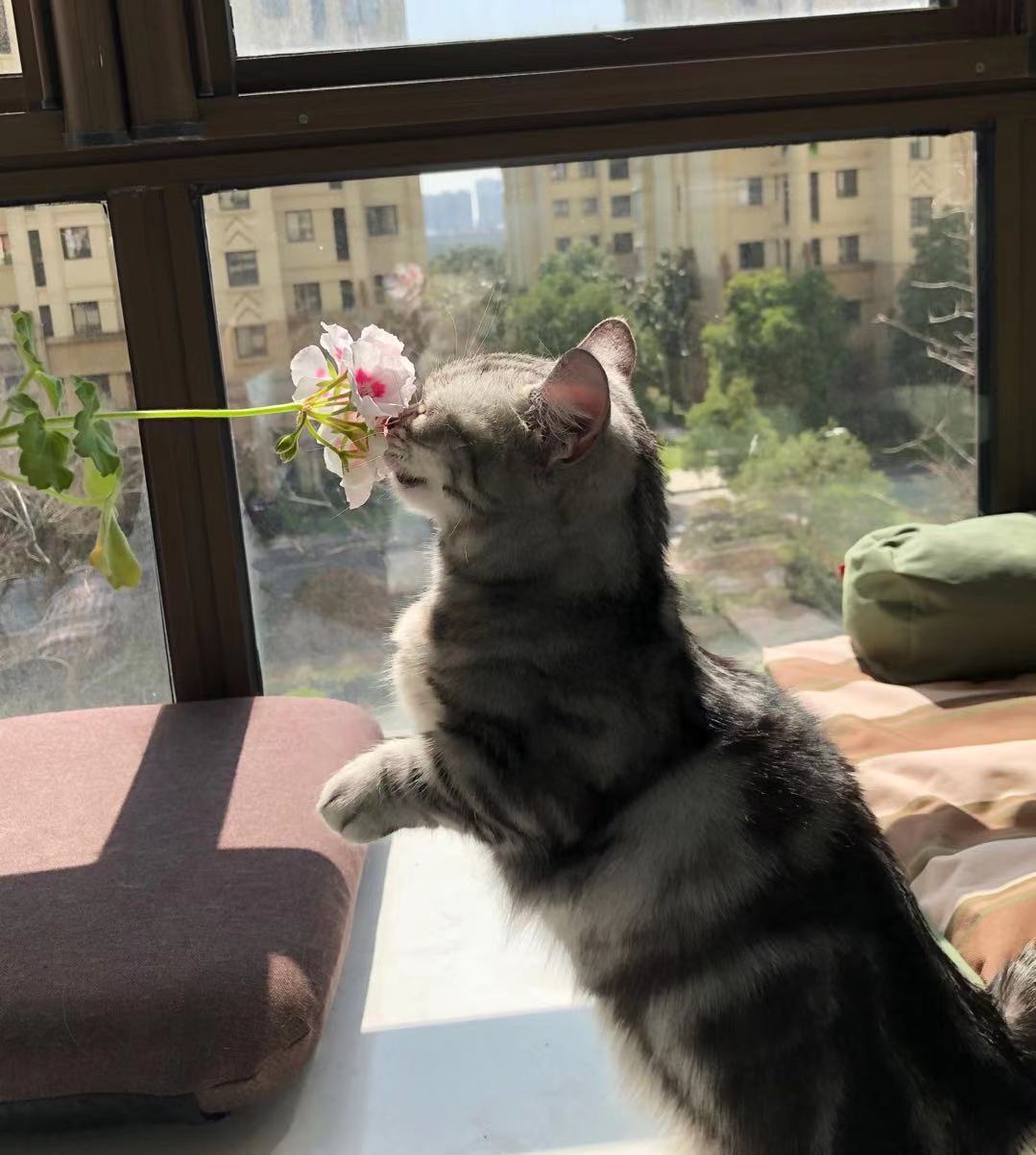 1615378416-20210310201336108