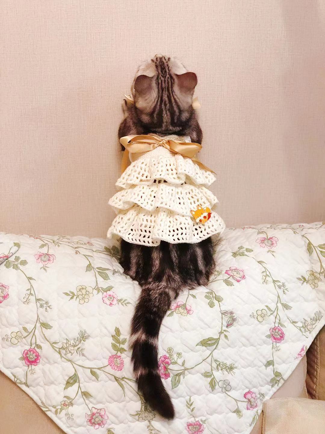 1615378416-20210310201336201