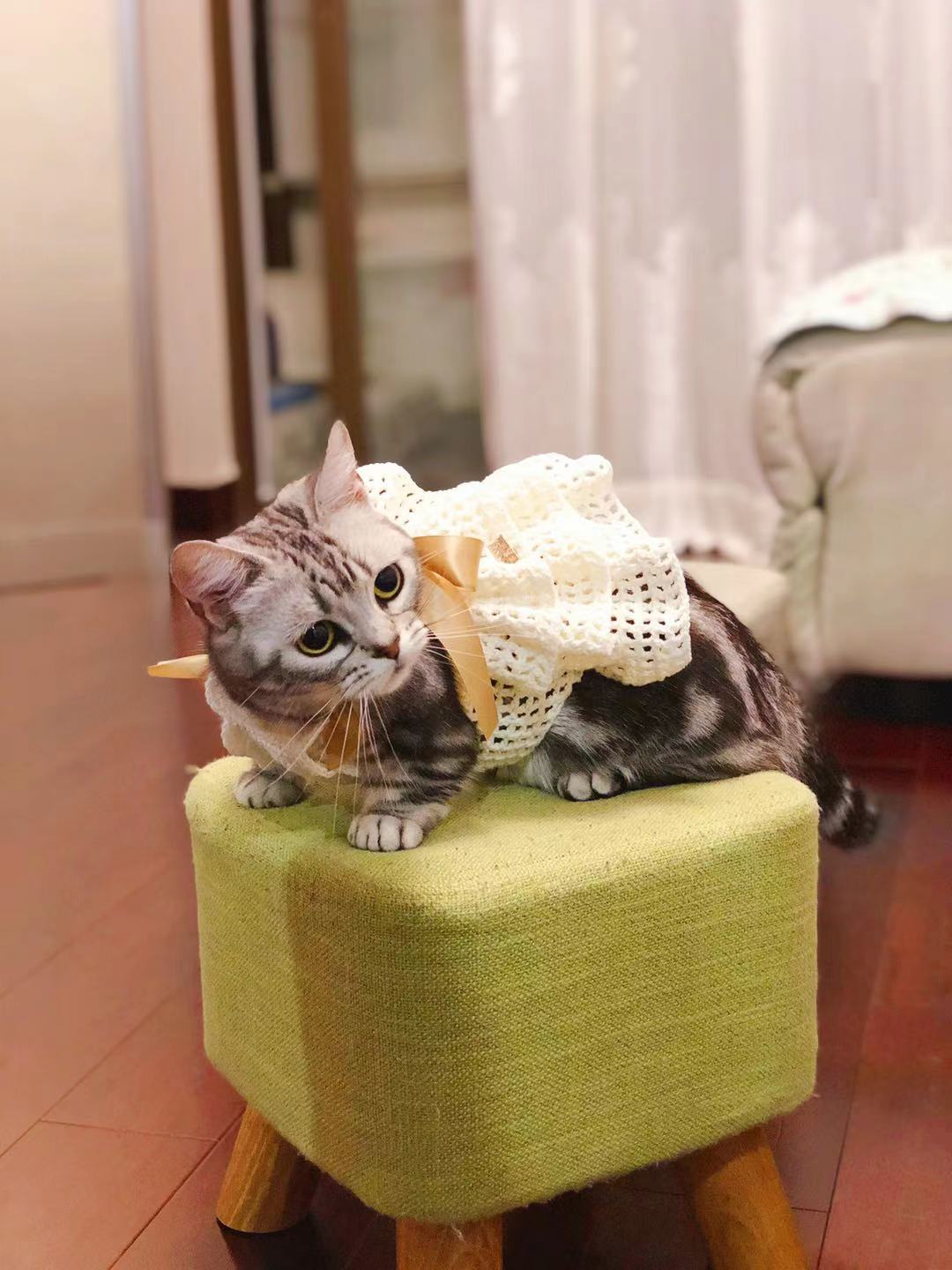 1615378416-20210310201336747