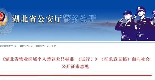 湖北最严禁犬令来了!哪些犬种将不能在湖北物业区域内饲养?