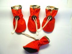 家具地板对宠物犬骨骼发育的影响