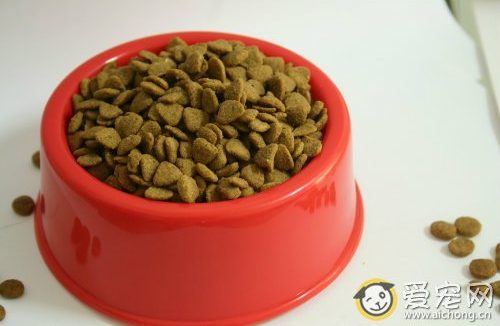 伊萨狗粮怎么样