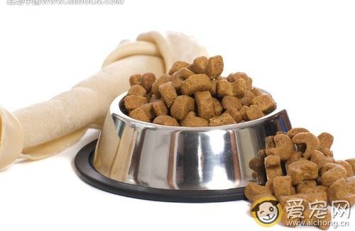 成犬古牧吃什么狗粮好