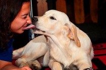 狗狗舔脸并无生命危险？猫奴需慎重，人宠亲亲抱抱时细菌会趁机侵入