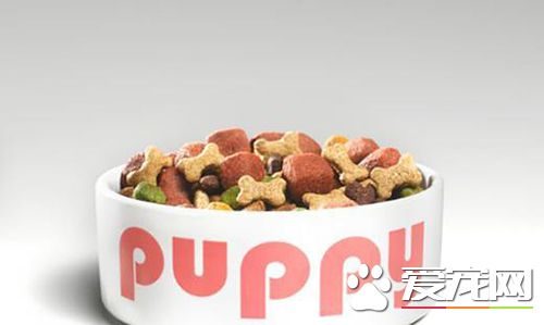 如何选购狗粮 狗粮需精挑细选