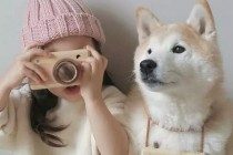 养宠物过程中，对给你协助的”六个不能”！